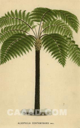 国外品牌洗手间挂画A-